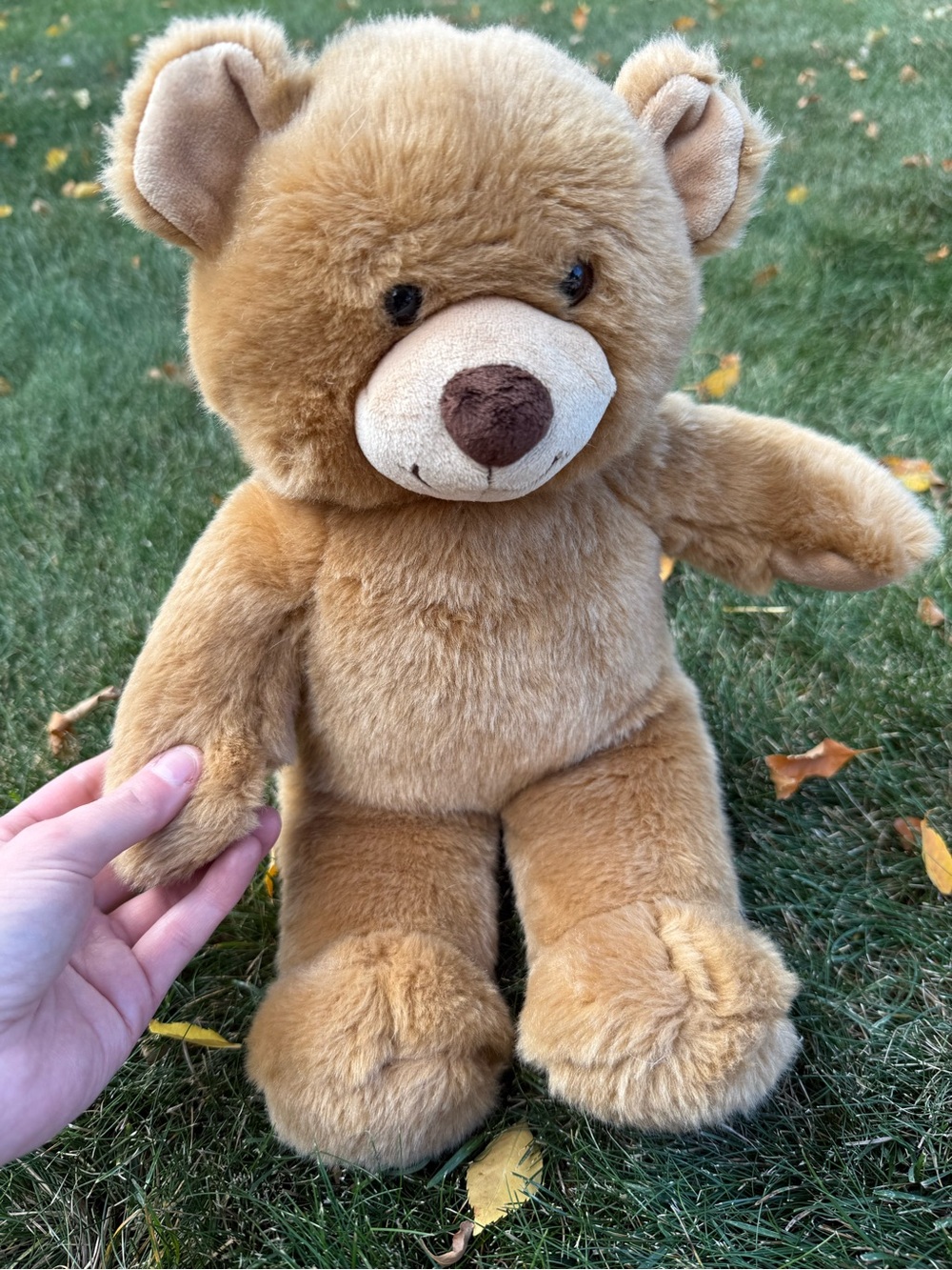 Build-A-Bear Plush Teddy Bear - Light Brown and Cream Accents